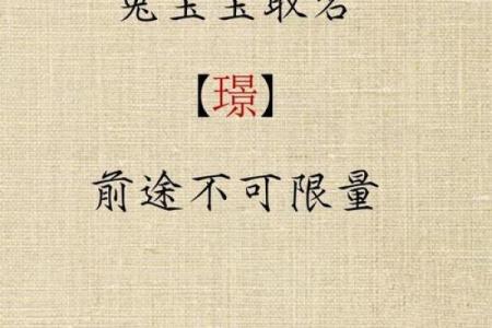 2013年兔年：命理解析与生活启示