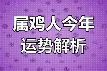 2015年属鸡者的命运解析：如何把握机遇与挑战