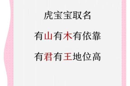 2022虎宝宝命运解析：揭开你的崭新时代机遇与挑战