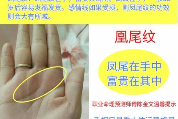 探寻虎头凤尾命格的深奥与魅力