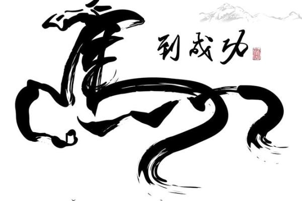 心有所向，马到成功：解析与成语的智慧之美