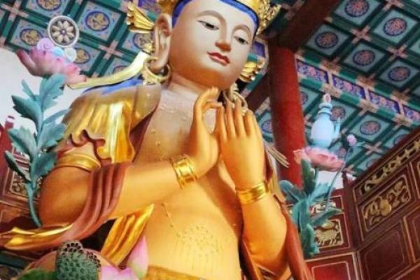 1971年出生男士的命运解析与人生观照