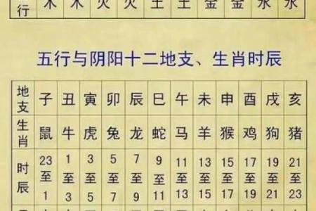 探索2019年属性与命运的深层次联系，揭示人生的奥秘与智慧