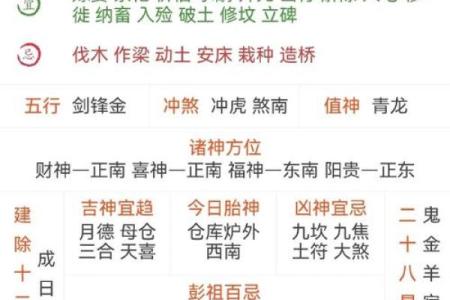 探秘丁卯年庚戌月的命理密码，揭示人生运势新见解