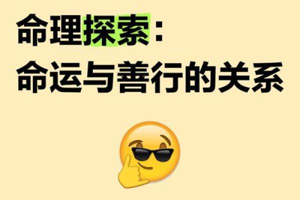 1991年出生的人命理解析：探索你的命运与人生道路