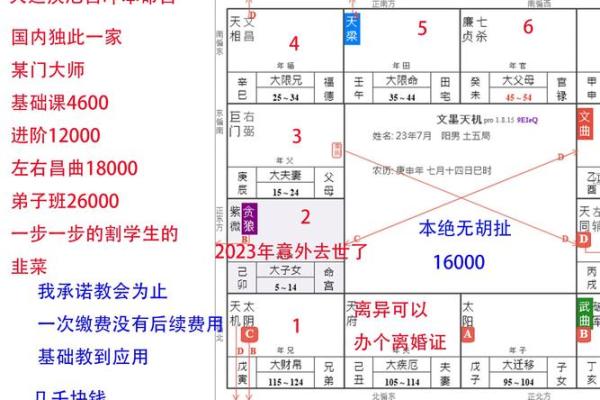 发掘命宫奥秘：如何选择最适合你的命理之路？