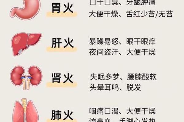 炉中火命的禁忌与化解：深度解析火命之道的智慧与启示