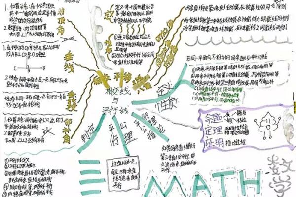 探寻2007年火鸡命运的奥秘与启示