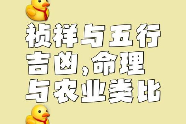 屋顶土与命运：探寻最适合的命理结合