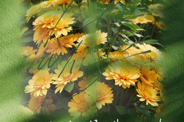 性格不好的人什么命：探寻内心的阴影与人生的转机