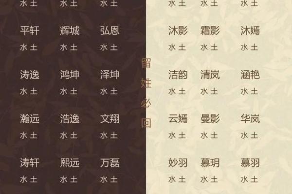 2024年龙年与五行命理的巧妙结合，探索人生机遇与挑战的智慧