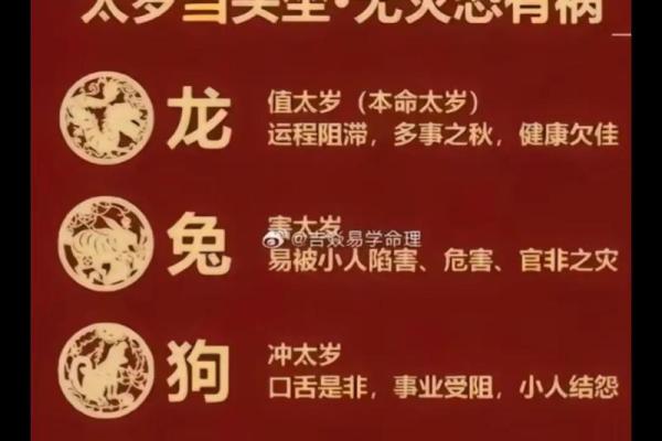 1993年出生者的命运与人生指引：深度解读属相与运势