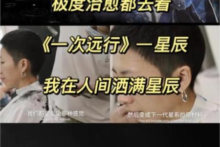 1985.11月出生的命运：星辰指引下的生命旅程