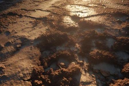 旺路旁土命的颜色与搭配，助你引路成功之道