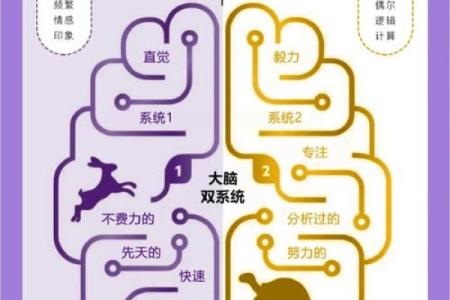 1940年属龙之人：揭示命运的奥秘与人生轨迹