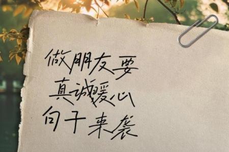 朋友之间无可替代的情谊与温暖，在生活中不可或缺