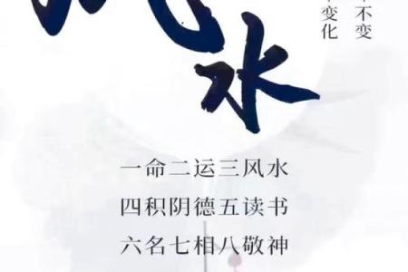 算命的奥秘：揭示命理学的四个重要方面