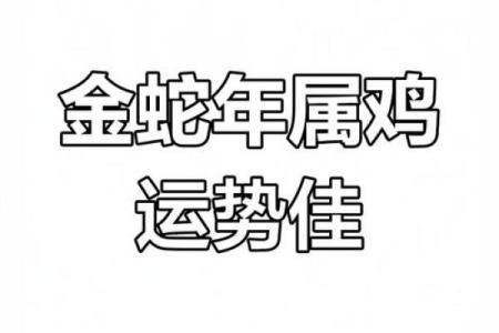 2023年属鸡人运势解析：奇妙命格与成功之路