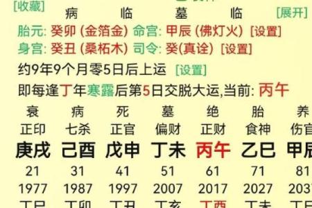 地支子午相冲对命理的影响与解析