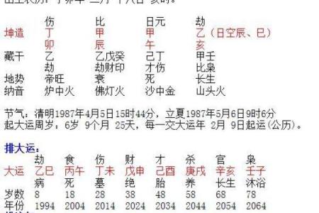 女命无官杀，命格极佳的深刻解析与启示