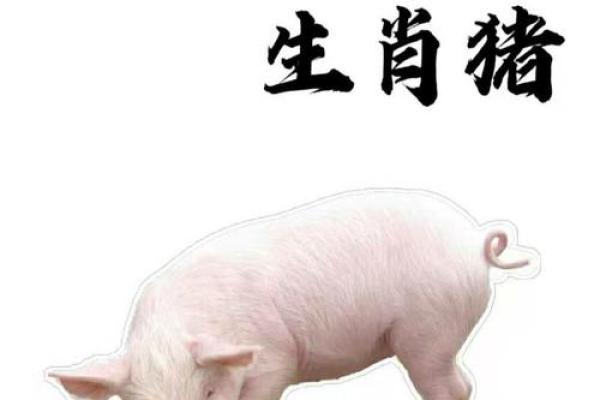 1983年生肖猪：探寻其命运与性格之谜，开启富贵人生