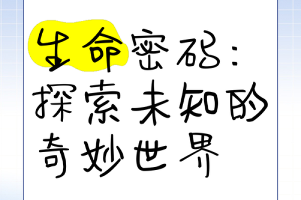 探秘命运密码：是什么命以什么为据的生命之旅