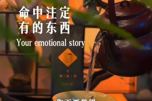 命里有时终须有，命里无时莫强求的生活哲学