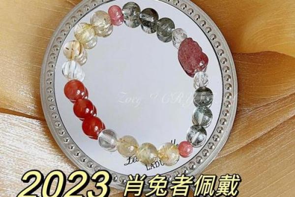 2023年属兔人的命运解析：机遇与挑战并存