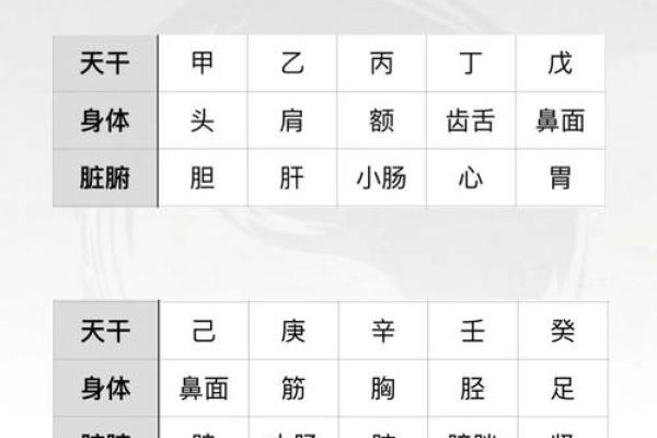 命理婚配：从五行八字看你的完美伴侣标准！