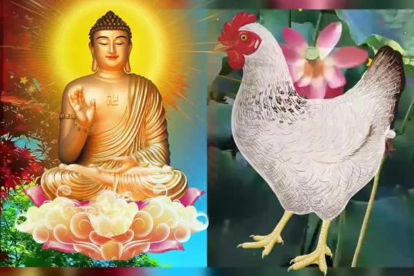 2018年属鸡男命运解析：大运走向与人生智慧