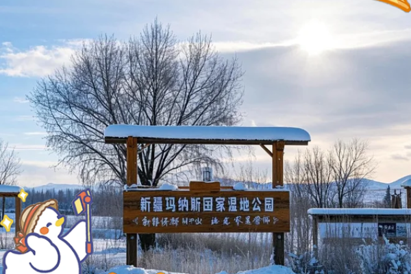 2011年腊月26：一场不平凡的冬日奇遇记