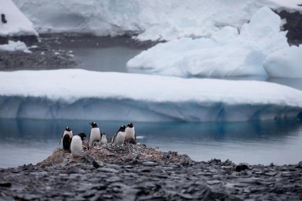 探寻地球命运的多重因素：自然与人类的交响曲