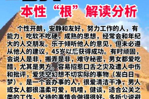 2002年，马年出生的人命运揭秘：性格、特点与人生历程！