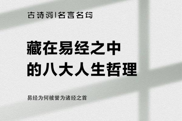 探寻易经命理的智慧，解读人生的奥秘与哲学