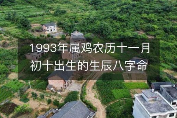 解析1993年出生者的命理特点与所缺失元素的影响 解析1993年出生者的命理特点与所缺失元素的影响