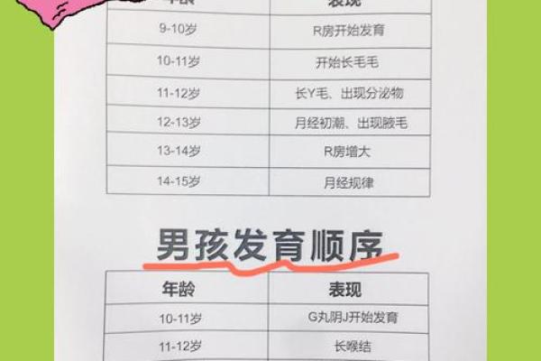 1995年是什么年？探索1995年命子的孩子们的成长轨迹与影响力