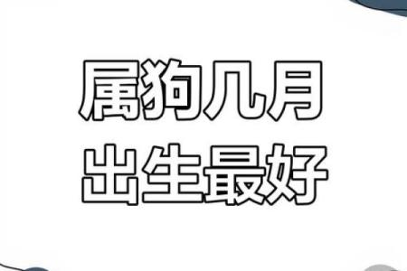 属狗1980年出生的人命运解析与发展建议
