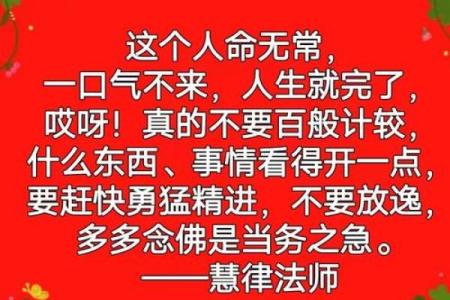 覆灯火命，无畏人生路，勇者不惧风雨的启示