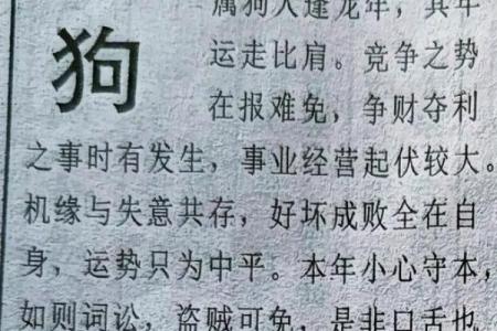 揭秘54属狗人的命格与人生轨迹