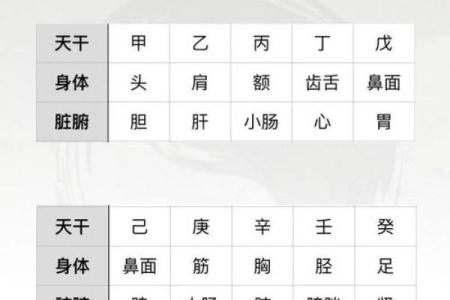 命理婚配：从五行八字看你的完美伴侣标准！