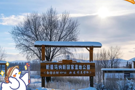 2011年腊月26：一场不平凡的冬日奇遇记