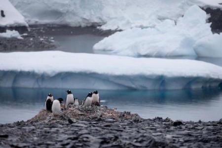 探寻地球命运的多重因素：自然与人类的交响曲