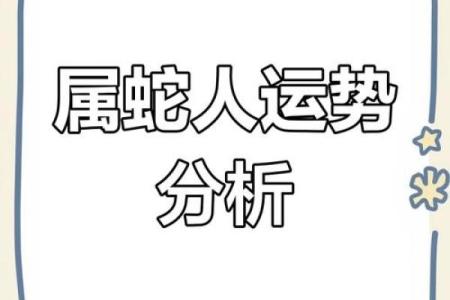 1977年属蛇的人命格解析：解密你的性格与运势