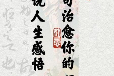人品与命运：一场心灵的修行与成长之旅