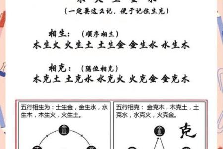 属龙蛇流水命：探秘命理中的五行缺失与解决之道