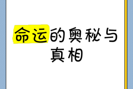 2003年：探索命运的奥秘与人生的选择