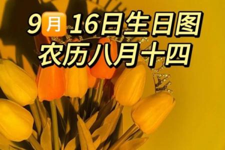 农历9月12日出生的人命理解析：探索属于您的命运与人生启示
