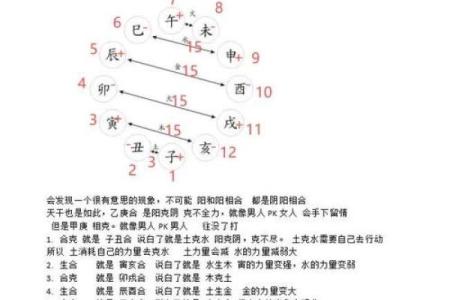 属狗婴儿的木命缺什么？探索五行与命理的奥秘！