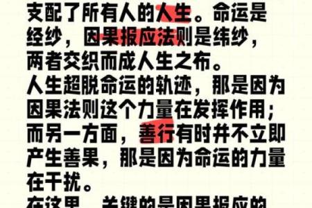 操心命与劳碌命：不同命运下的人生选择与启示