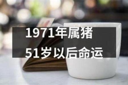 秋天出生属猪的命运解析：温暖与财富的双重滋养